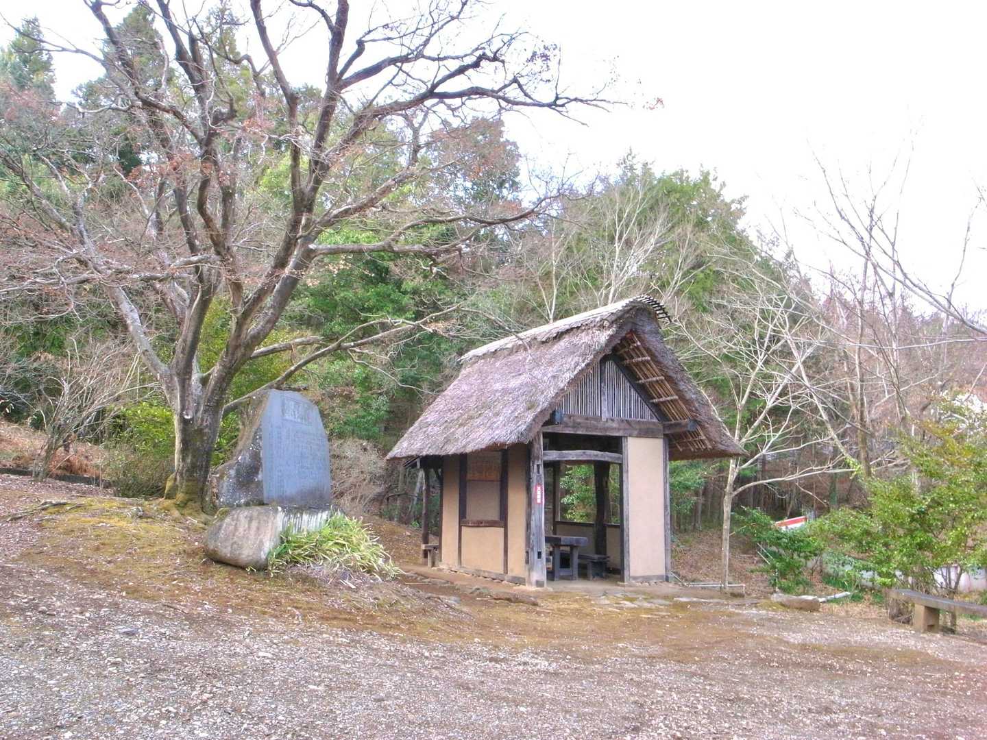 浅間山 往復コースの写真