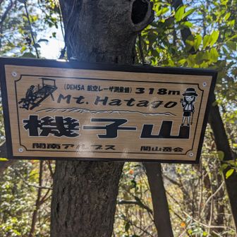 取りこぼしピーク2つ目の機子山（はたごやま）。読めんわ😆
130座目。
眺望なしなのでとっとと引き返します。