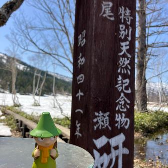 あんころしらたま