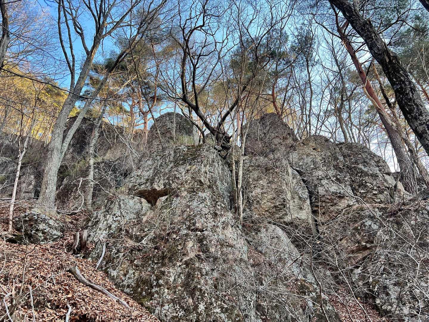 立石登山口-守屋山東峰 往復コースの写真