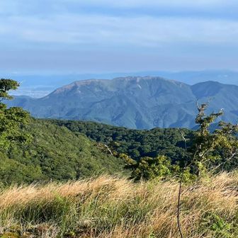 大好きな霊仙山