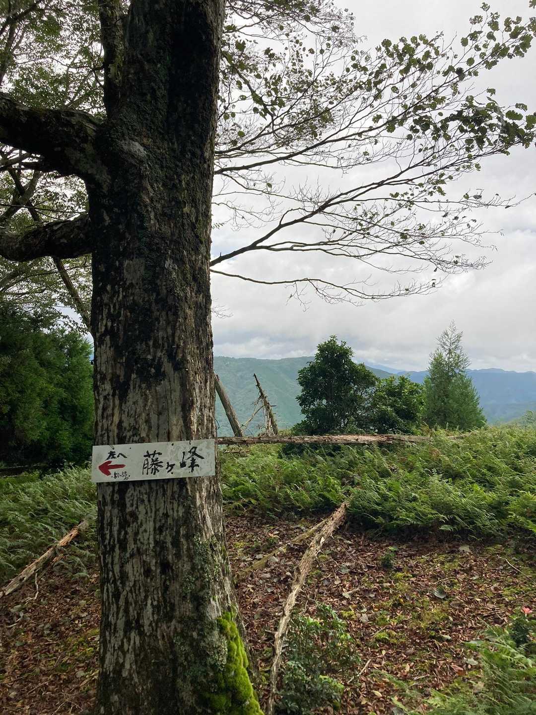 曲がる場所には看板ある