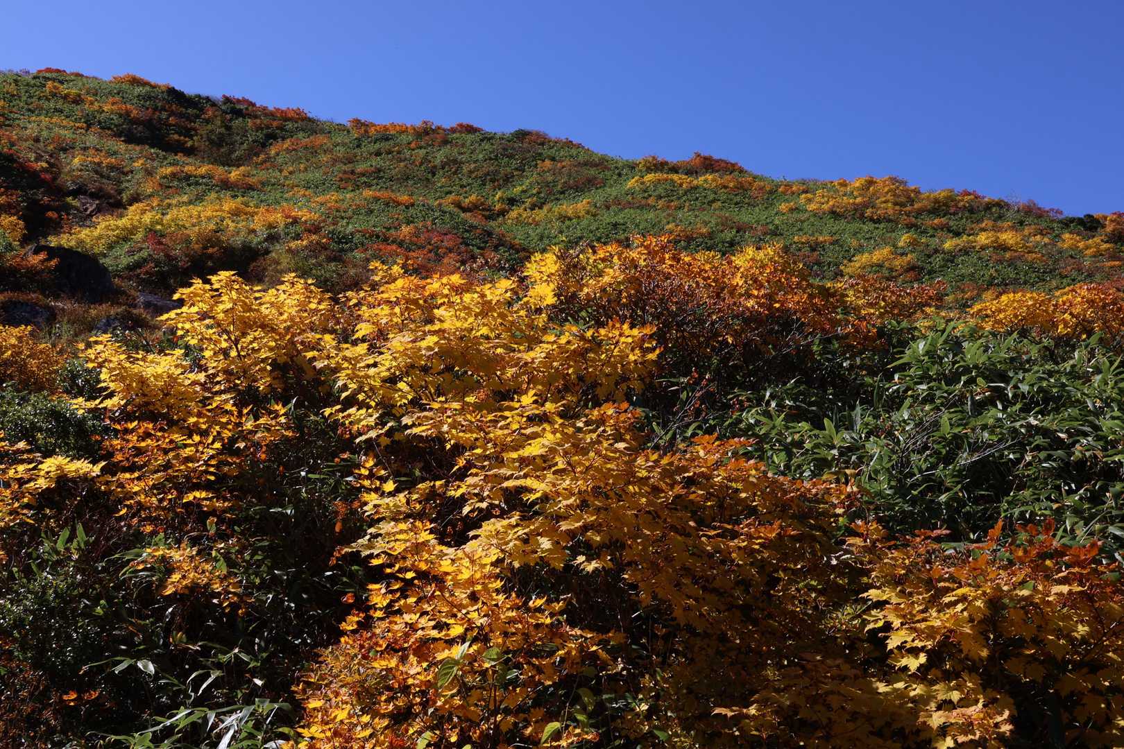 安達太良山登山口-旧土湯峠-鬼面山 往復コースの写真