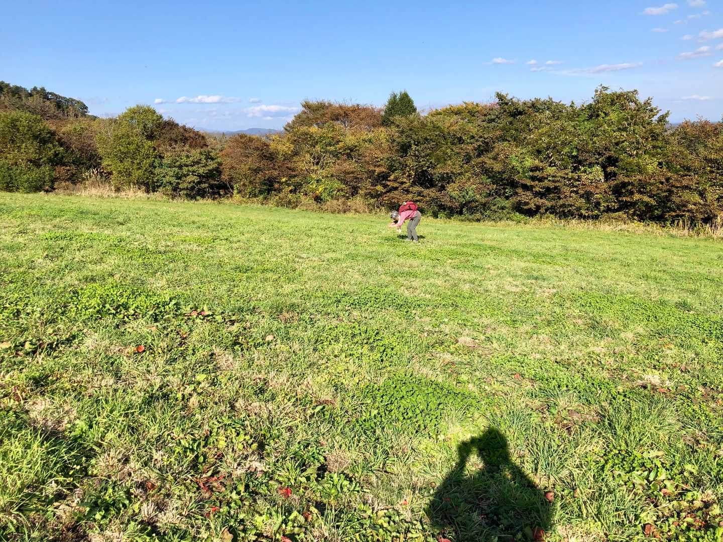 なにかを撮影中。
