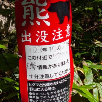 油断はできないがちょっと安心。