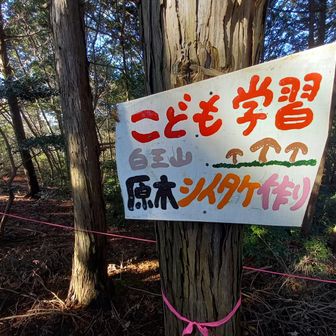 白王山は☺️こども学習の山でした。