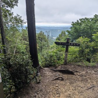 林道から登山道に入ったと思ったら、あっという間に天覚山に到着。
これで私も飯能アルプスハイカーの仲間入りです🎖️