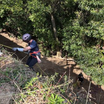 下降器を無くした場合は
カラビナだけで降りる方法も

ロープを体に巻きつけて降りる方法もあるらしい