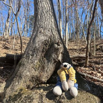 今日は誰ともすれ違うことなく…
天気もいいので八島さんと写真撮影🤳🐻‍❄️