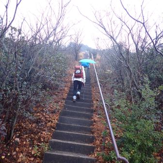 さてお次は須磨アルプスかな。