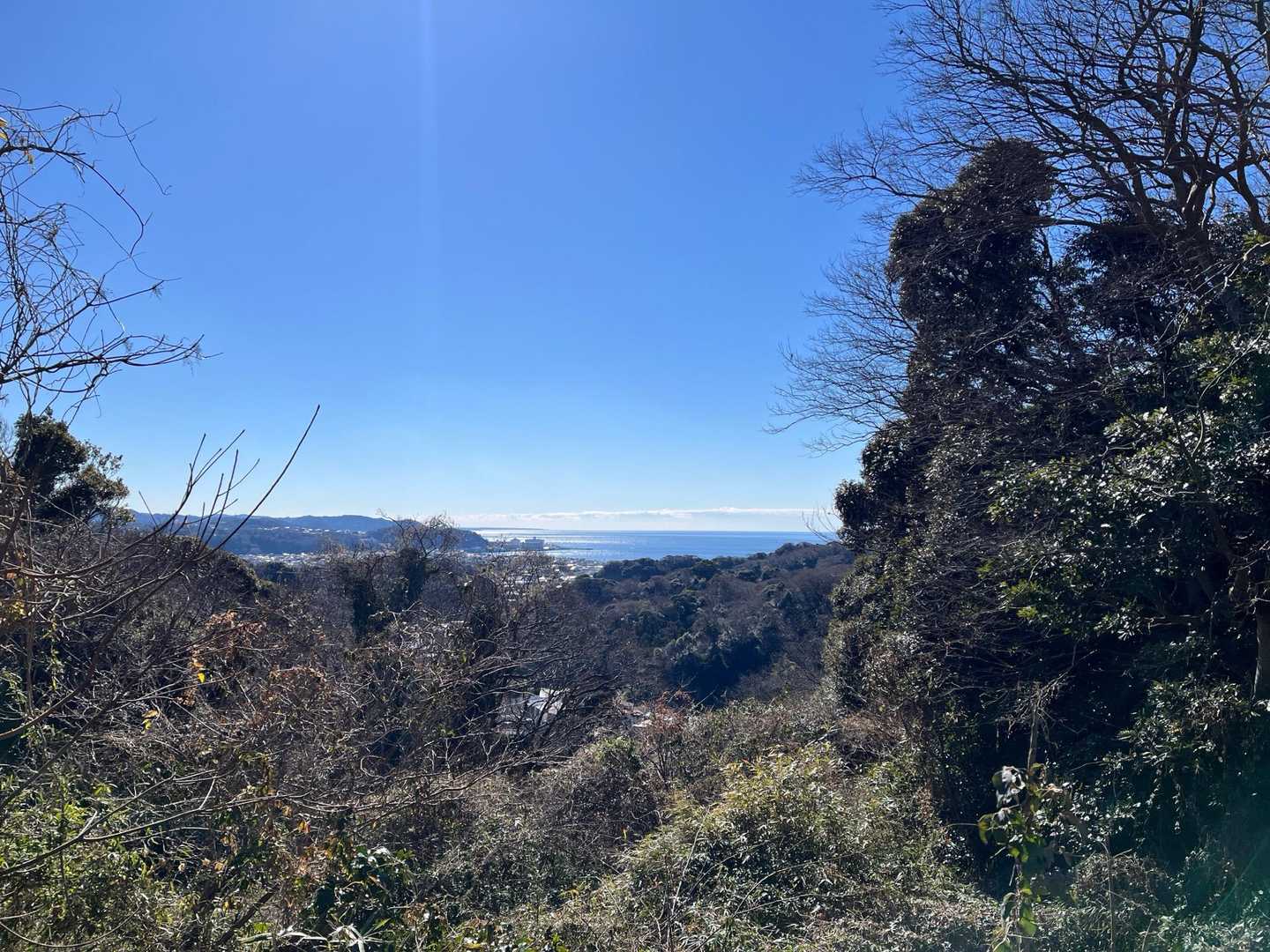 遠く逗子葉山あたりの海が一望できました。