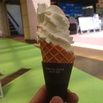 着いた。私はソフトクリーム🍦
息子、あまおうソフト&コロッケ！