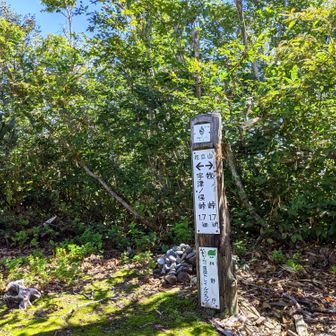 花立山(はなたてやま) 1,069m 登頂 🙌