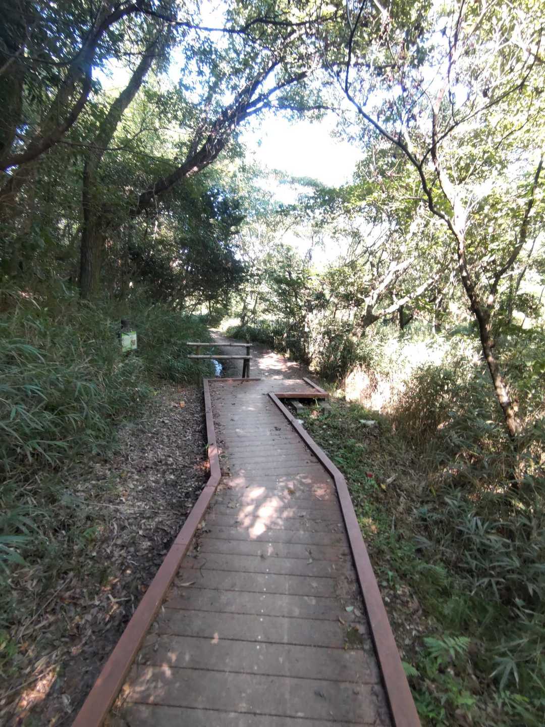 おんか山 周回コースの写真