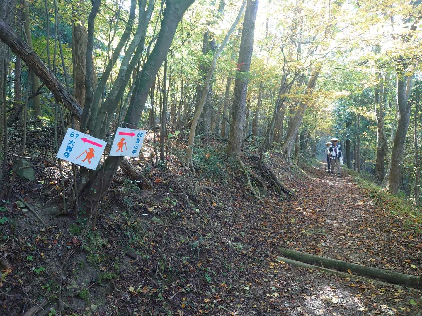 雲辺寺山 往復コースの写真