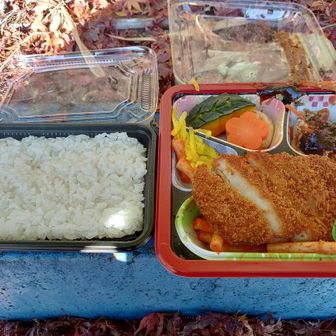 支給された弁当🍱
ザック中で液モレ事故
煮物汁が…ヤメて〜
エライコッチャ～😱👎
ビニル袋に入れたのに、袋に穴開いてるじゃん😮‍💨
だから汁物のおかずやめて～
そういえば、去年もや～