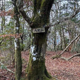 北峰ピーク

眺望ありません😢