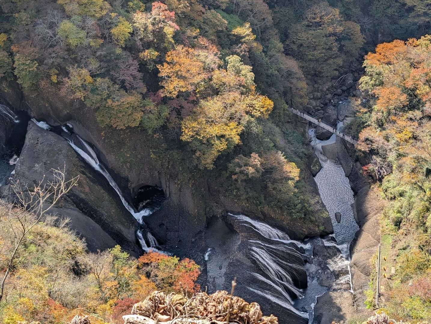 袋田の滝を上から眺められるのがこのルートの魅力ですね😃