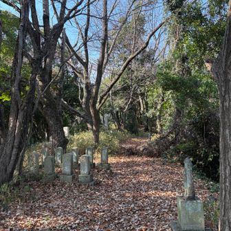 回り道してお墓の上に上がってきてこの辺が山頂