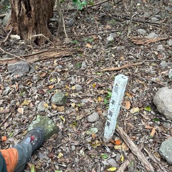 『小岳』　新規ゲット！☺️