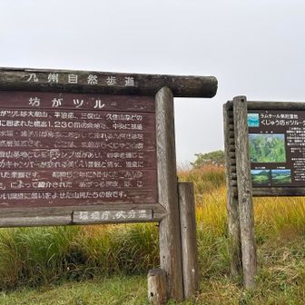 真っ白