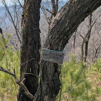 子仙人ヶ岳登頂🙂