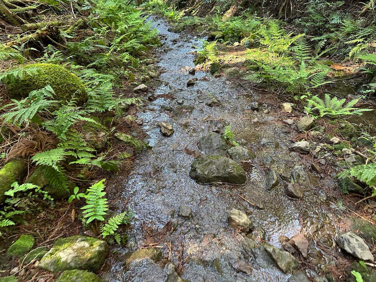 帰りもこんなとこ歩きます🚶‍♀️
