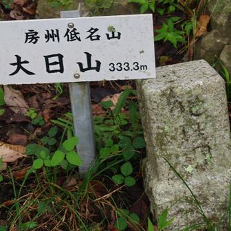 大日山頂上　東京タワーと同じですね