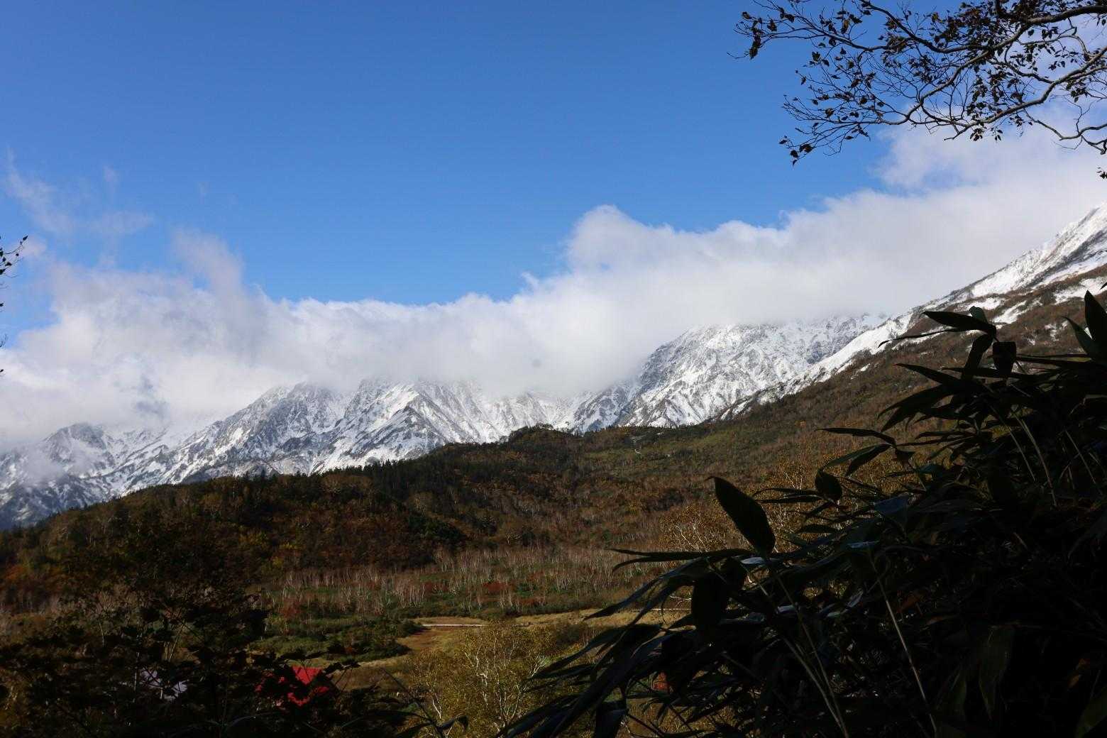 栂池自然園の登山口 往復コースの写真