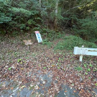 登山口。ここから長い長い林道歩き🚶🏻