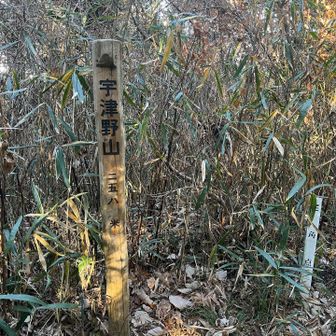 宇津野山⛰️
ここから海辺まで下れますが、今日は時間がないのでパス🙅