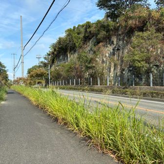 再び舗装道路