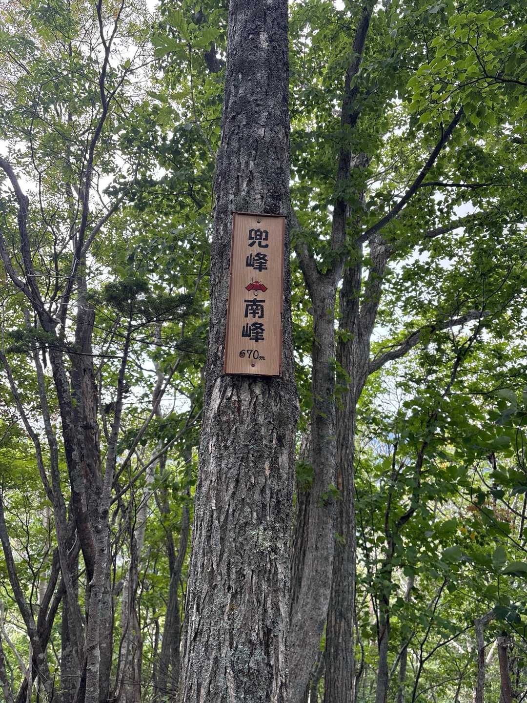 兜峰 往復コースの写真