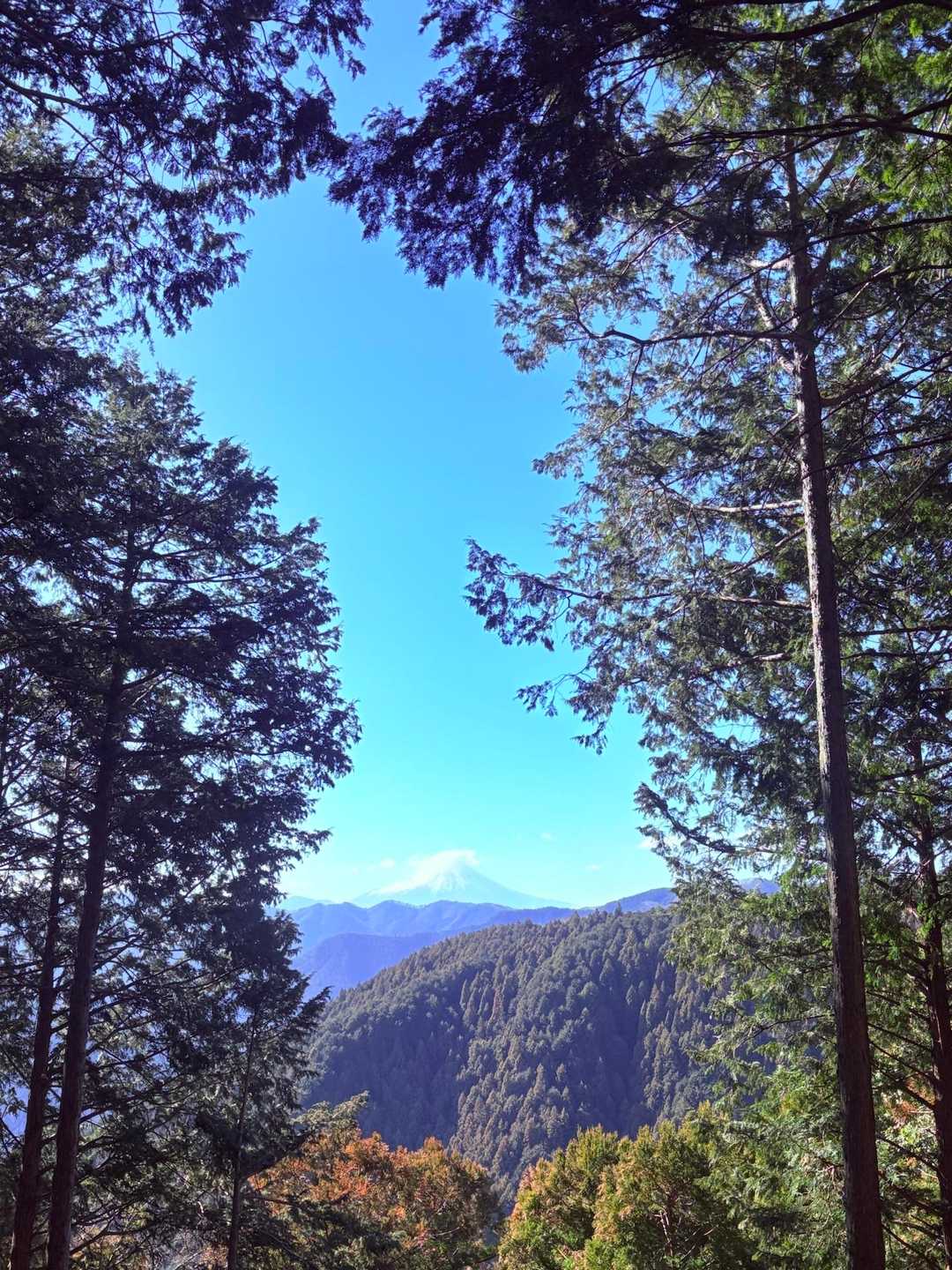 長岳-高明山-馬頭刈山 往復コースの写真