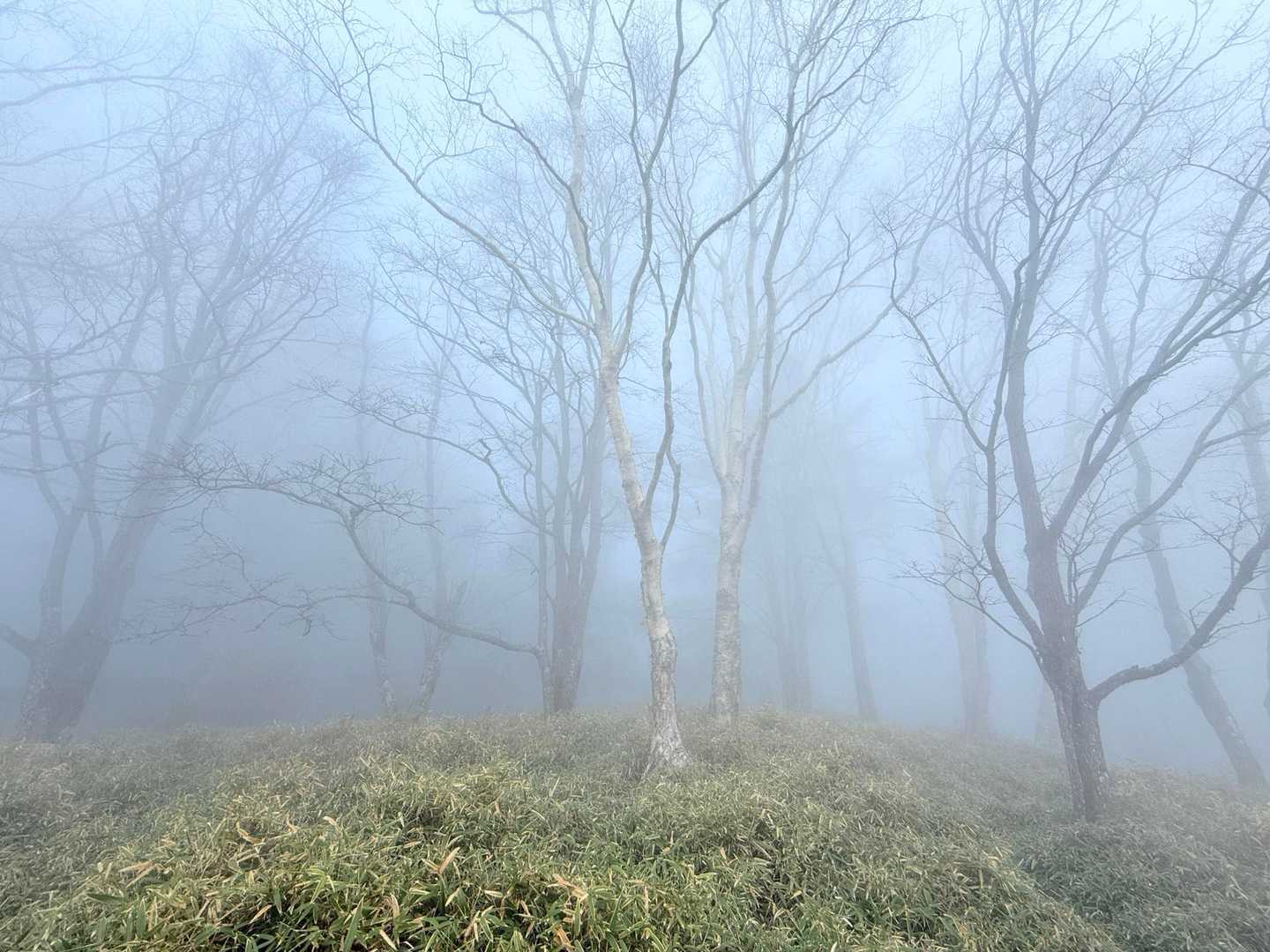 あーん、雨☔止まないから
帰ろ😢