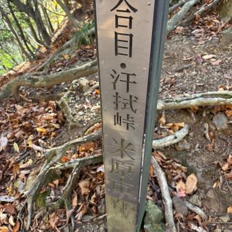 やっと汗拭峠💦
あと少し🚶‍♂️