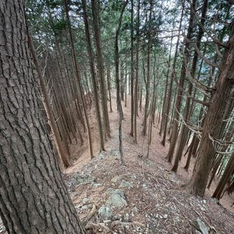 次の「石裂山」を目指します🏃‍♂️=3