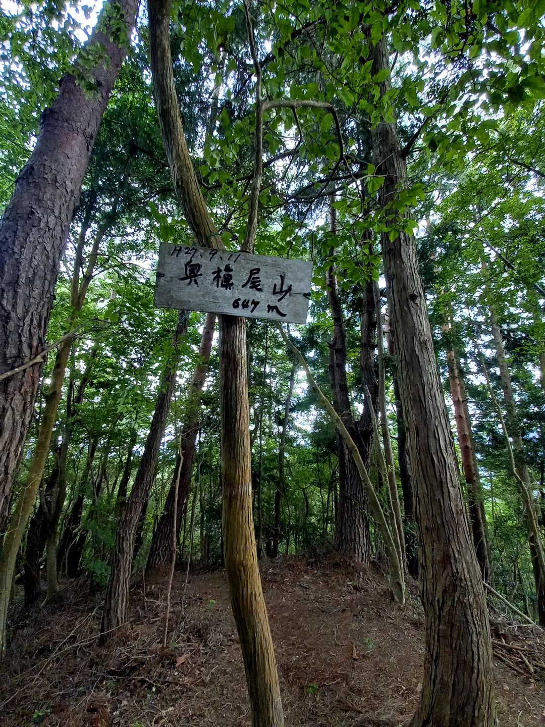 第一目的、奥槇尾山
