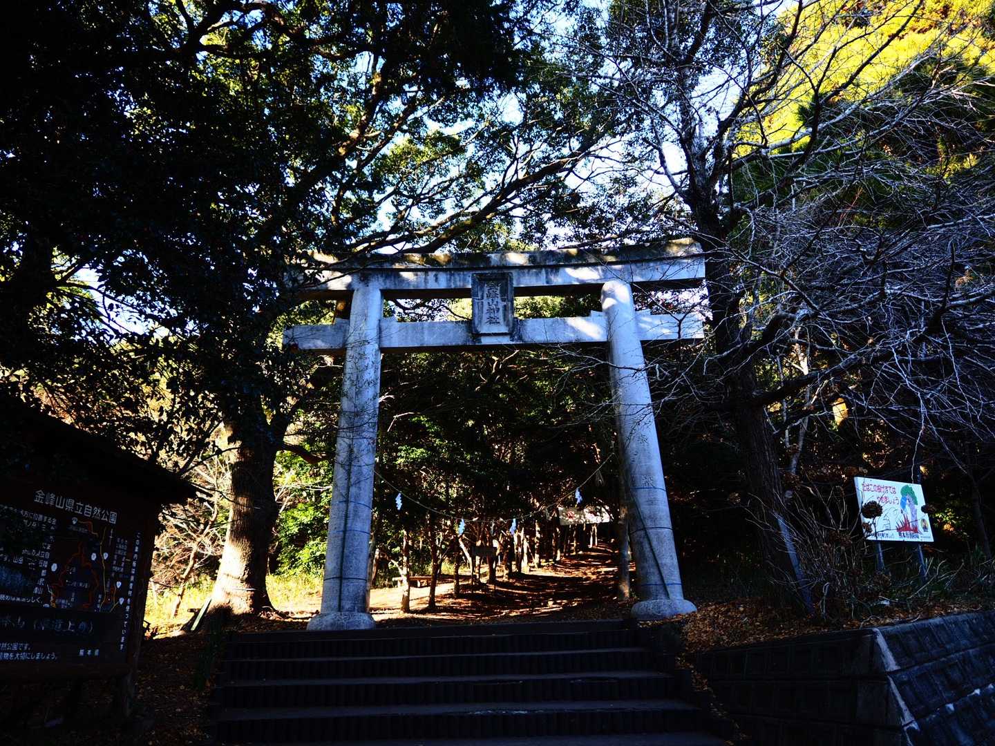 はじめまして。よろしくお願いします！