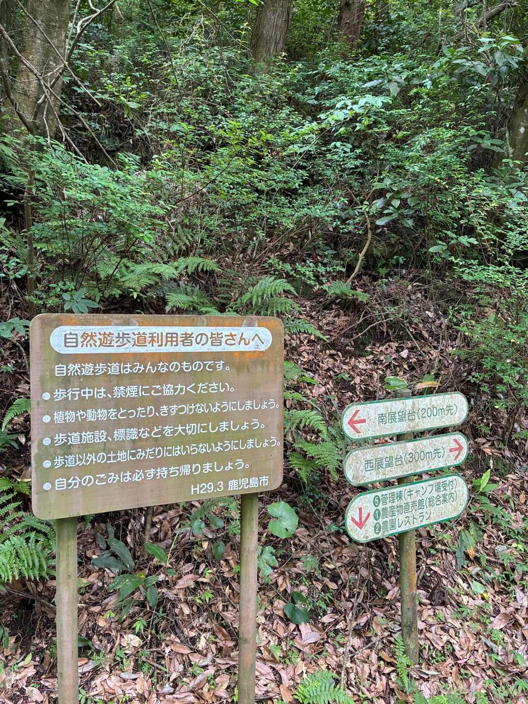 牧神山 周回コースの写真