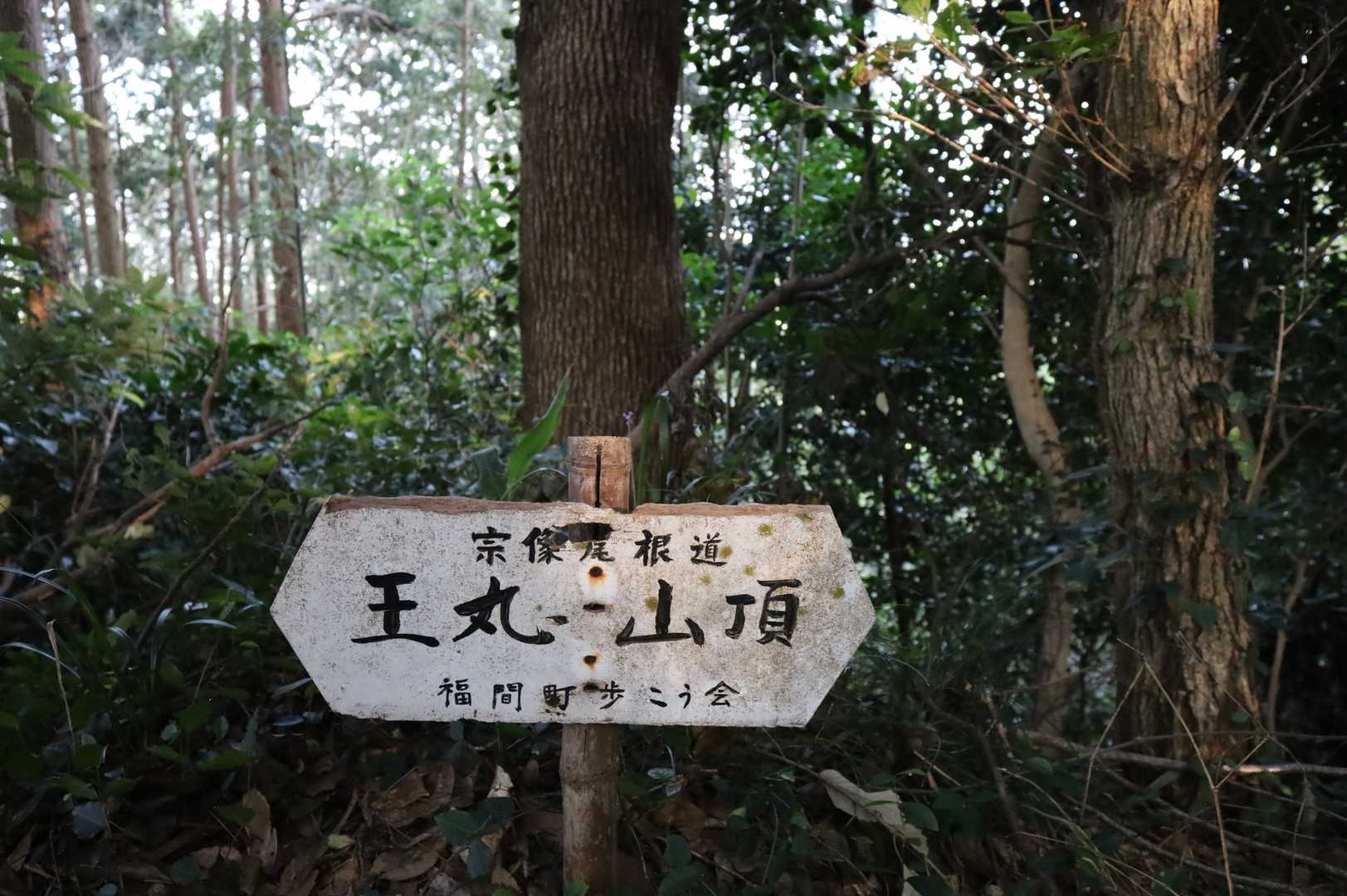 許斐山-王丸西登山口 周回コースの写真