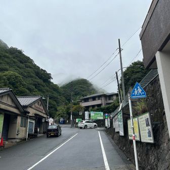 上の方は雲の中ですね。