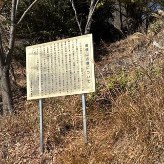 権現山は古墳らしい。