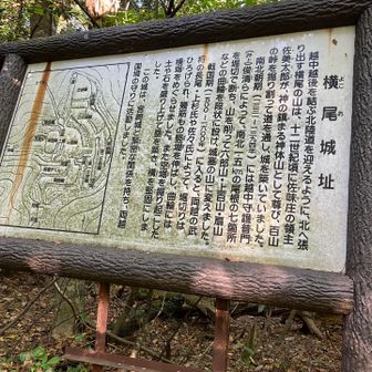 山城跡の山歩きも楽しいです。空堀跡とかもあって、看板の説明も面白〜