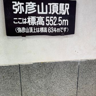 いつもこれくらいの標高にいる😁