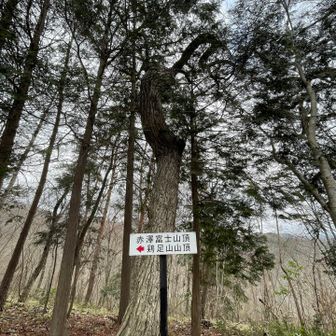 赤沢富士
標高430m