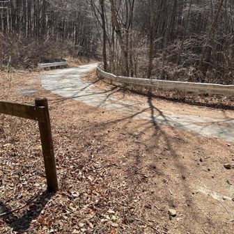 少し舗装林道を歩く