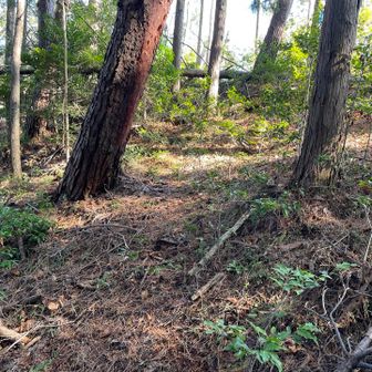 少し迂回したら歩ける道があるじゃないか！