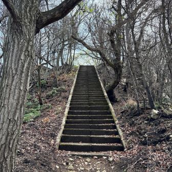 世田山最後の登り