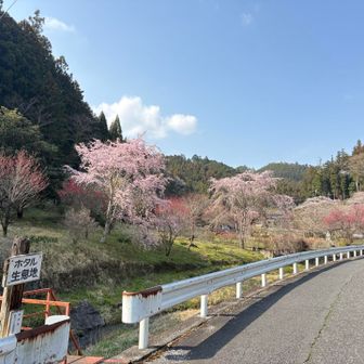 福徳寺の正面あたりはホタルが見られるみたいです